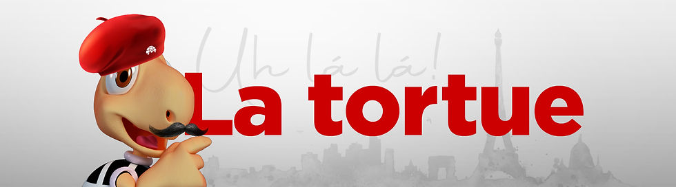 BANNER MIOLO la tortue.jpg