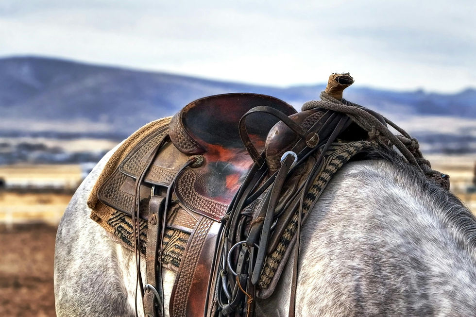 Close up image of a saddle on a white horse