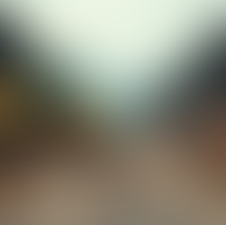 Navigating Market Entry in Southeast Asia's Equipment Market