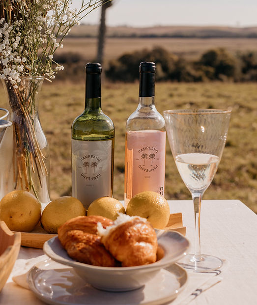 vinhos bodega sao nicolau na fazenda sao nicolau