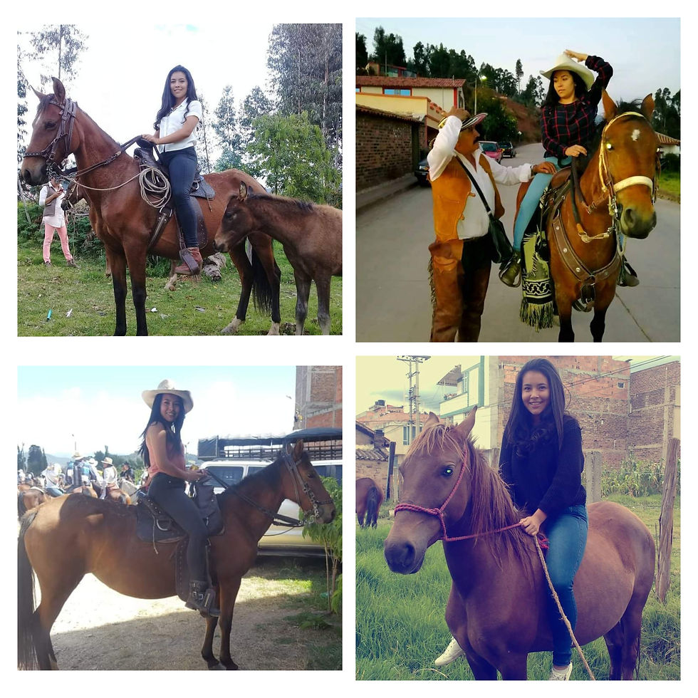 Montar a caballo