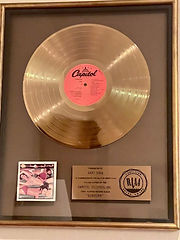 Gold Record.jpeg