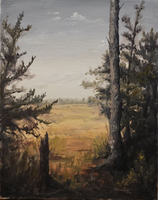 lowlands, Savannah, Georgia