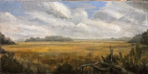 lowlands, Savannah, Georgia , landscape , Open field