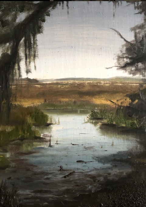 Savannah, Swamp, Georgia, water , oil painting