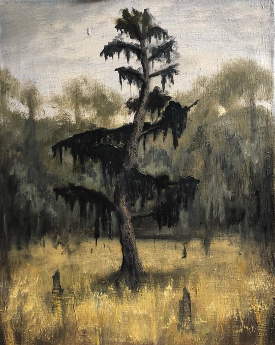 Savannah, Georgia, wildlife, marshes