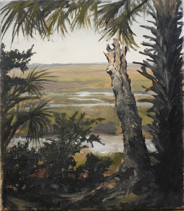 Savannah, Swamp, Georgia