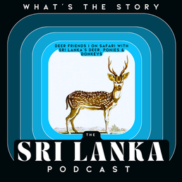 Deer Friends I On Safari with Sri Lanka's Deer, Ponies & Donkeys