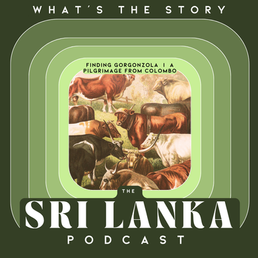Finding Gorgonzola | A Pilgrimage From Colombo