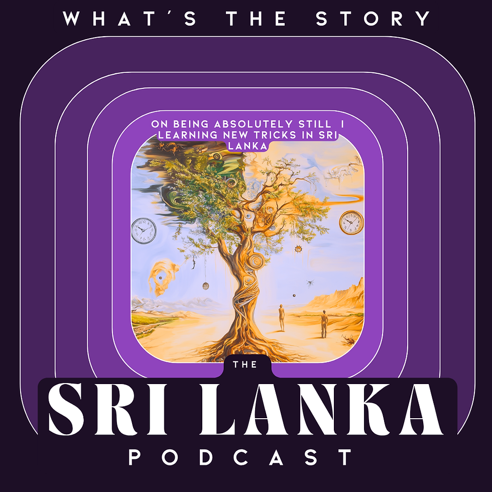 On Being Absolutely Still | Learning New Tricks In Sri Lanka
