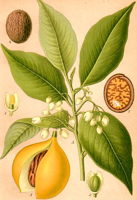 Image: Public Domain.