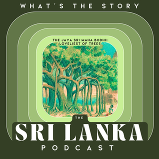 The Jaya Sri Maha Bodhi | Loveliest Of Trees