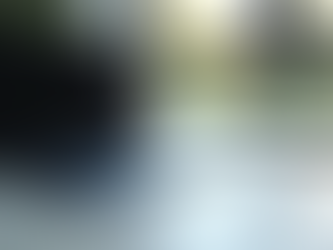 Comment optimiser son prêt immobilier en Guyane