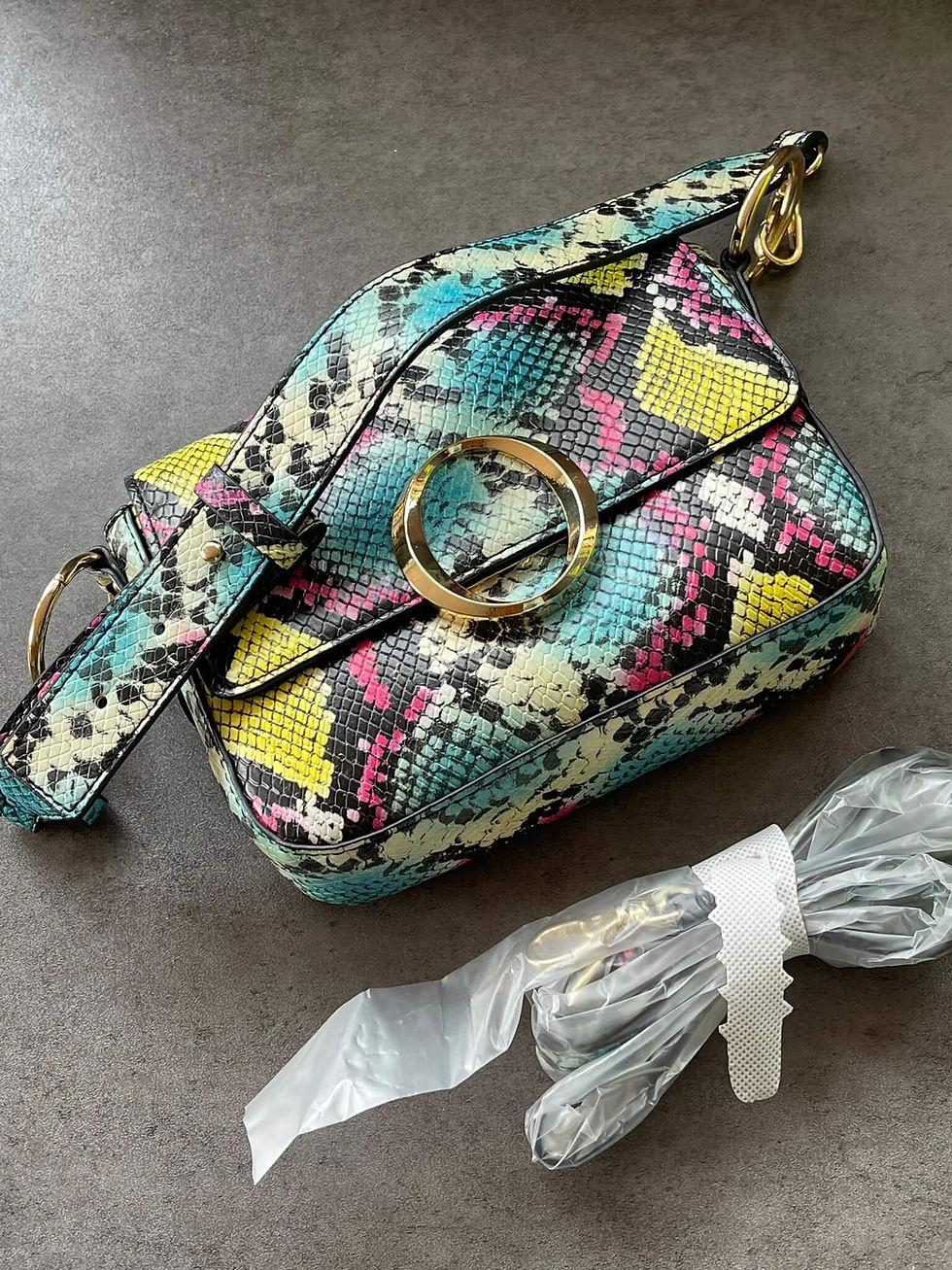 Aldo Multi-Colour Snake Print Handbag – side profile with pink, blue, yellow snake print & gold ring hardware closure on flap