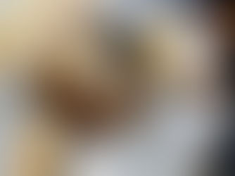 TSPS Chapter 12 Gathers at Texas A&M Corpus Christi for Exclusive Tours at Bell Library