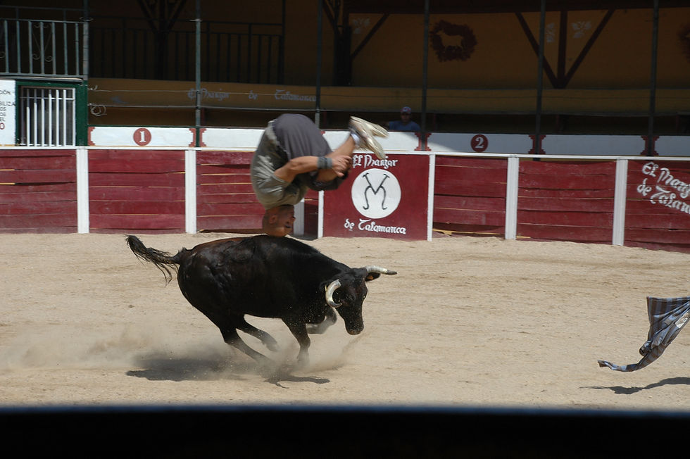 Capea Manjar de Talamanca
