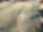scarify1.jpg