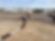 dryvac.jpg