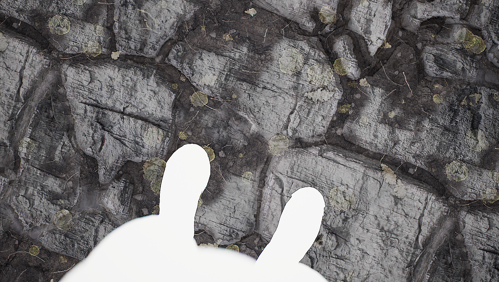 tbrender_Floor Top Down.png