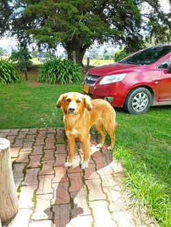 WhatsApp Image 2023-07-17 at 9.38.51 PM