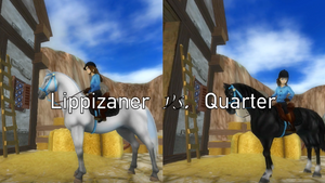 Lipizzaner vs. Quarter Model: Who's faster?