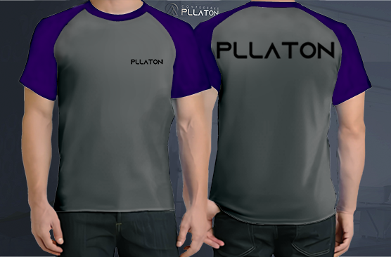 Miniatura: camiseta raglan cinza personalizada