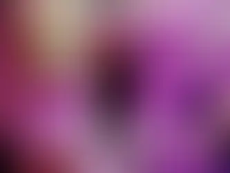 Podcast Interview with SoniqLoox!