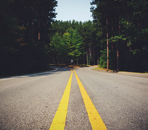 curve-decision-forest-6754.jpg