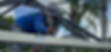 A Pool Paint Screen LLC professional painter painting the top of a pool cage