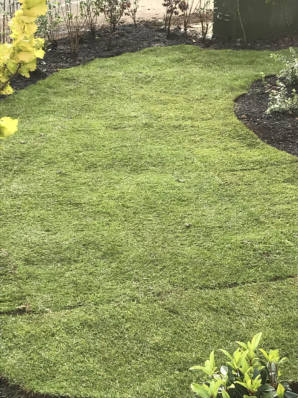 New Build Garden Assessment