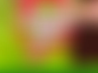 Assédio não! Campanha chama as mulheres para agremiação política contra à violência