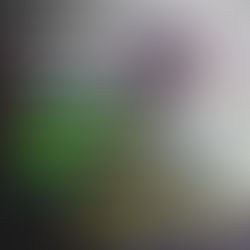 O Brasil precisa que as mulheres façam parte da política do país