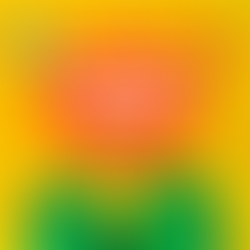 1º Encontro Nacional de Comunicadores do Partido Verde