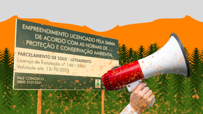 O movimento ambientalista precisa virar a mesa do poder: a importância do engajamento das juventudes