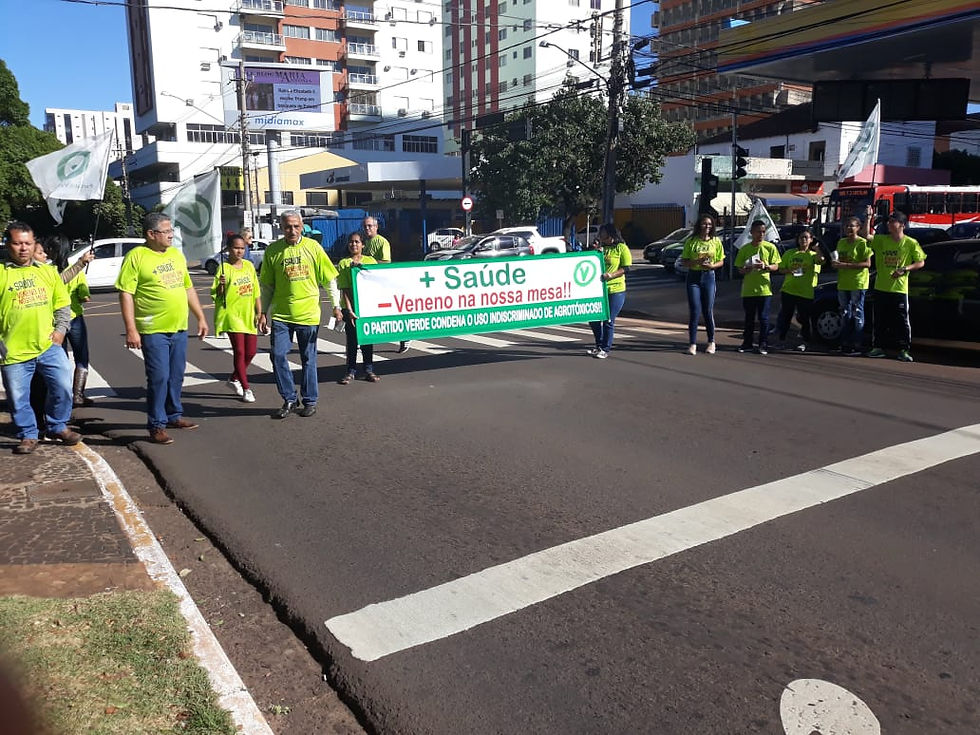 foto pv ms
