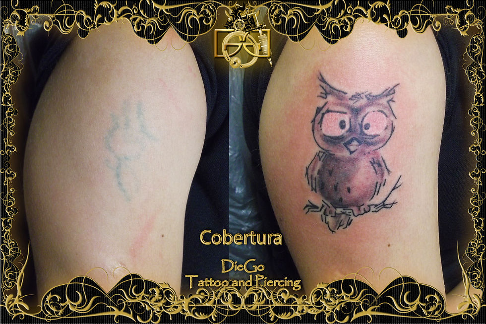 Cobertura coruja Jaqueline Assis.jpg