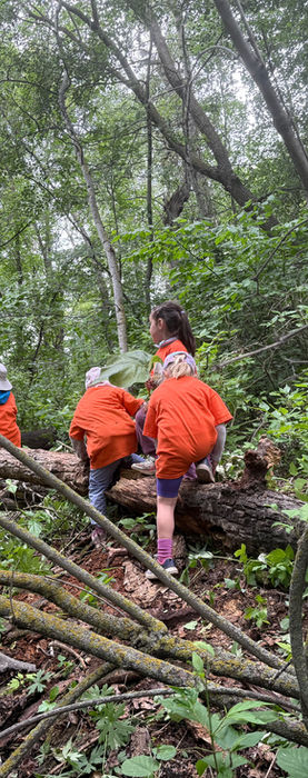 Nature Wanderers Childcare Edmonton
