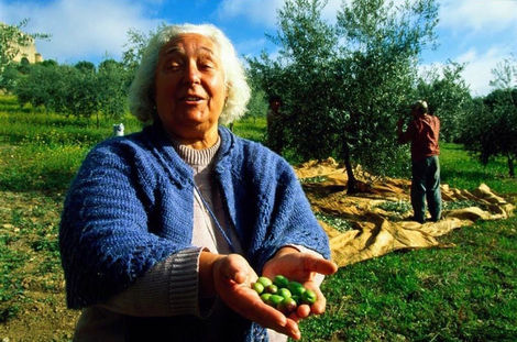 Elderly woman holding olives, smiling in an olive grove background