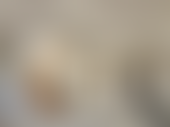 Discover why Ottawa homeowners trust G.E.L Construction for stress-free renovations. Learn how structured planning and disciplined execution deliver predictable results.