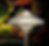 2024-07-31_8-58-32.png