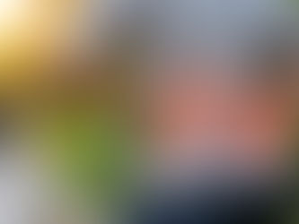 Comment éviter les douleurs lombaires au quotidien grâce à la chiropratique 