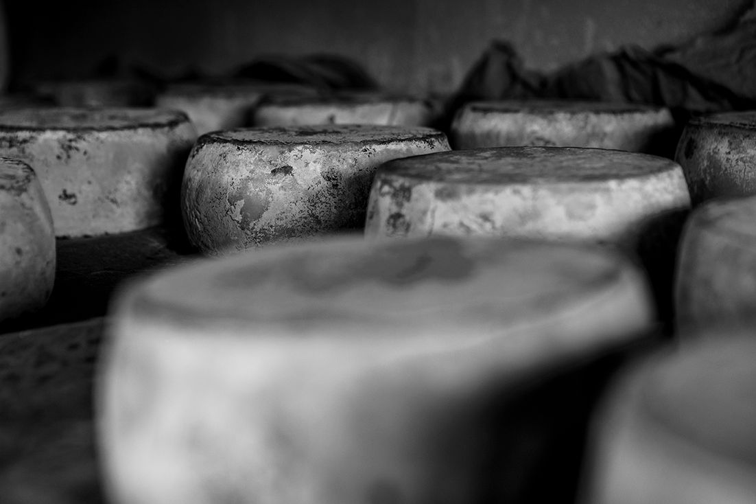 Meules de fromage rustiques en affinage