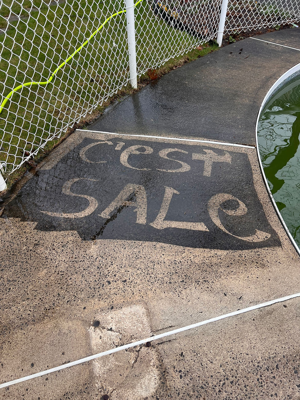 Pourquoi faire appel à un professionnel pour le lavage de vitres sur la Rive-Sud de Montréal ?