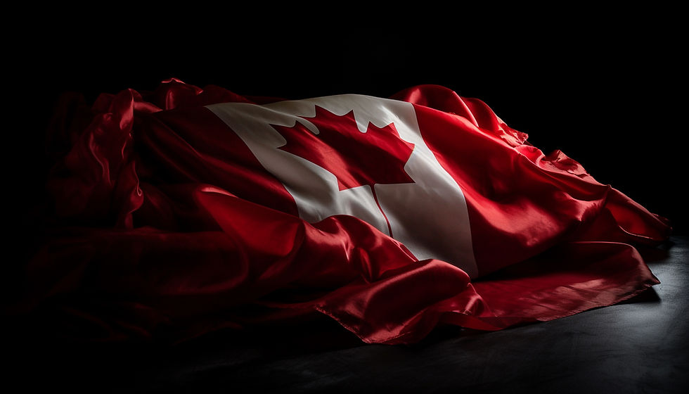 Canadian flag draped in dramatic lighting