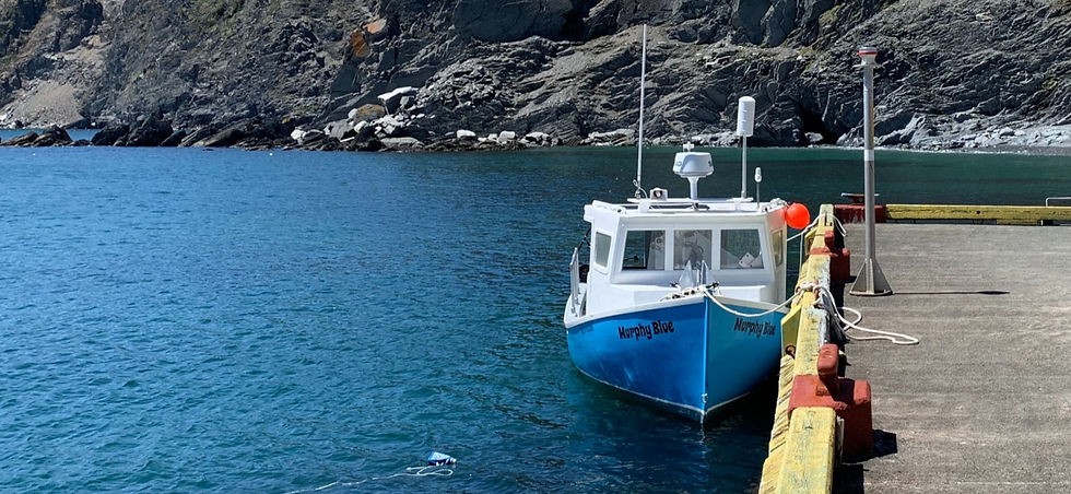 Photo 2019-06-26, 12 40 23_edited_edited.jpg