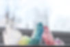 16106805_10154970415798573_395566106_o.j
