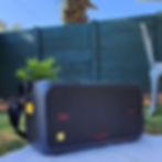 Portable Lectron Bluetooth speaker outdoors