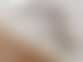 Moisissures sur un mur de sous-sol causées par une infiltration d’eau – inspection par Fissure Élite