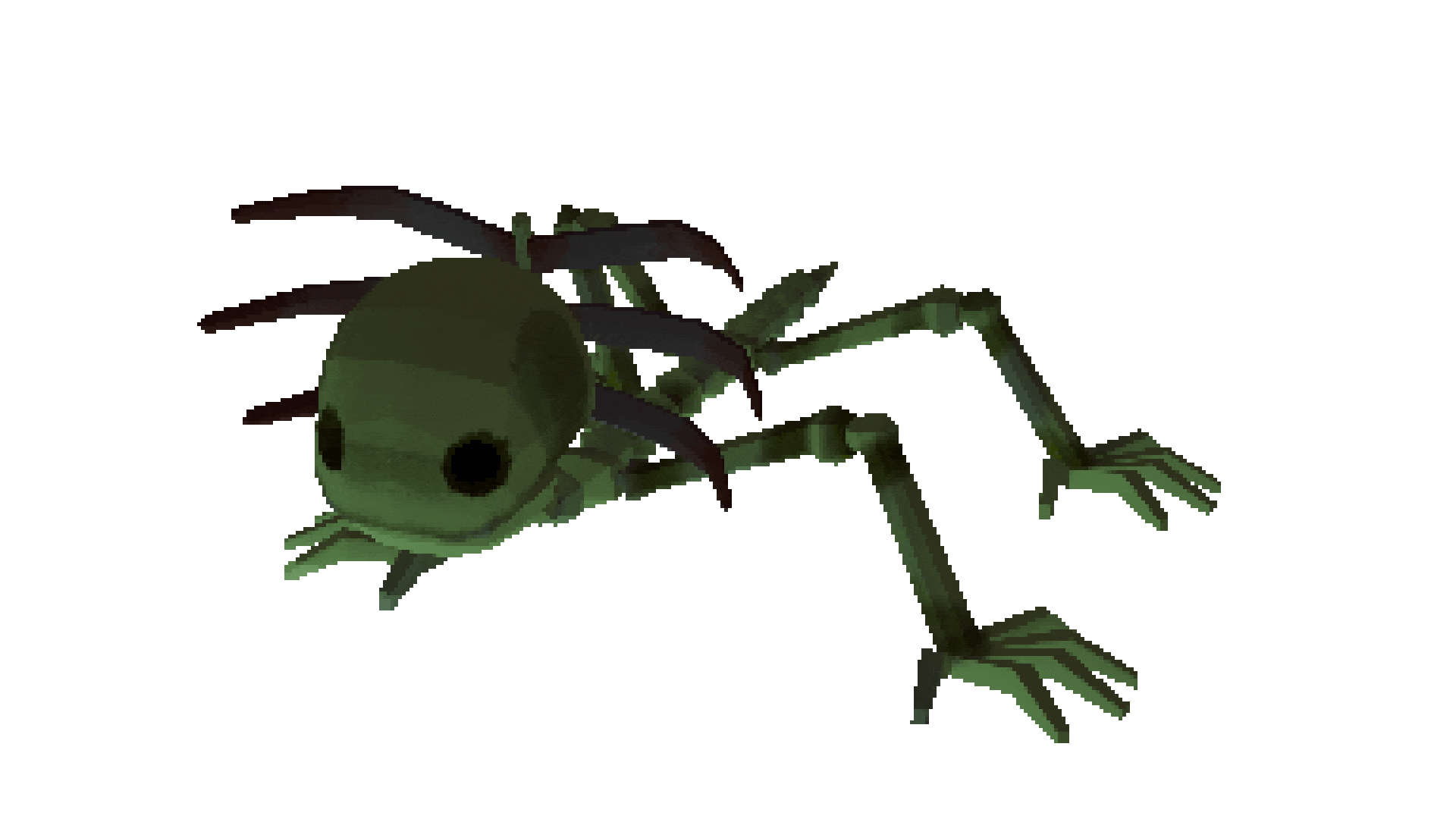 axolotl.gif