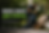 B5D93B25-05A6-4FAD-992F-0D2578FF7C60.PNG